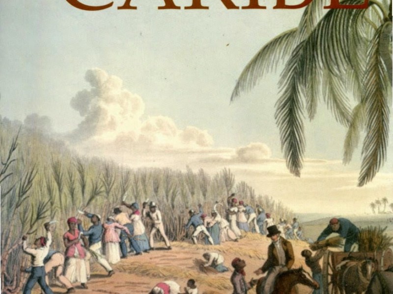 Frank Moya Pons. Historia del Caribe : Azúcar y plantaciones en el mundo atlántico. Editora Búho, Santo Domingo :&nbsp;2008